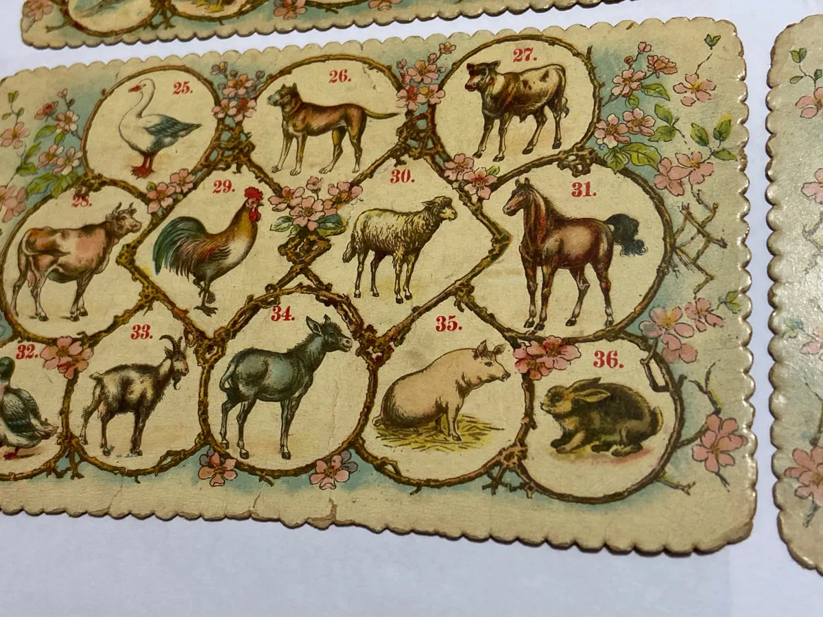 Cartelas Antigas Alemãs J.w.s. S Bavaria Animais E Insetos