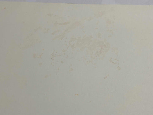 Quadro Gravura Antiga Cidade Prédios Assinada E Numerada