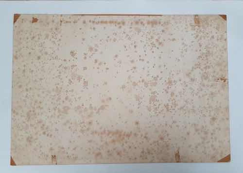 Quadro Litografia Antiga Deroi Rugendas Lavadeiras Rio 1835