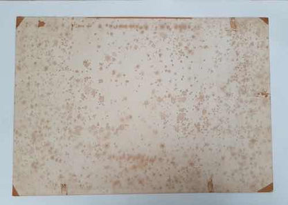 Quadro Litografia Antiga Deroi Rugendas Lavadeiras Rio 1835