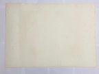 quadro gravura Antiga Circense Palhaço Saltimbancos Assinada 84