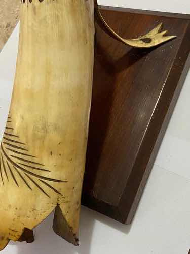 Antigo Chifre De Boi Decoração