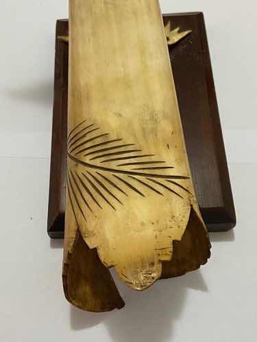 Antigo Chifre De Boi Decoração