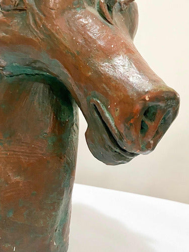 Escultura Antiga Cabeça De Cavalo Em Terracota Assinada