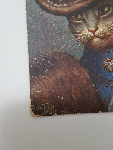 Cartão Postal Antigo Arthur Thiele Tsn No 896