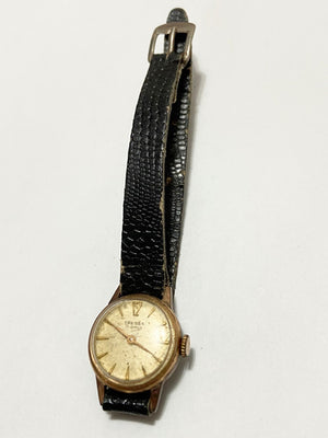 Descriptive image text