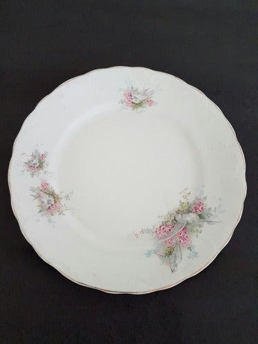 Prato Antigo De Porcelana Inglesa Com Pintura Flores Myott S