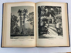 Antigo Livro Com Imagens Rio De Janeiro Cidade E Arredores