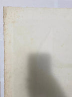 Quadro Gravura Antiga *pássaro* Assinada E Numerada