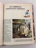 Livro Enciclopédia Disney Antiga