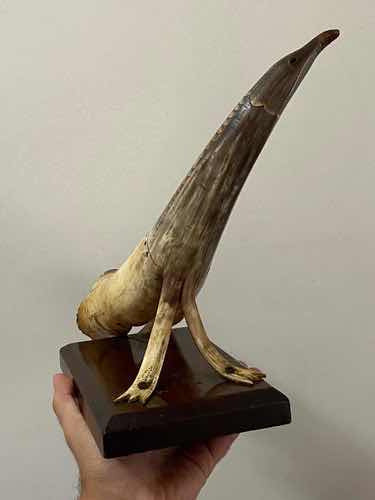 Antigo Chifre De Boi Decoração