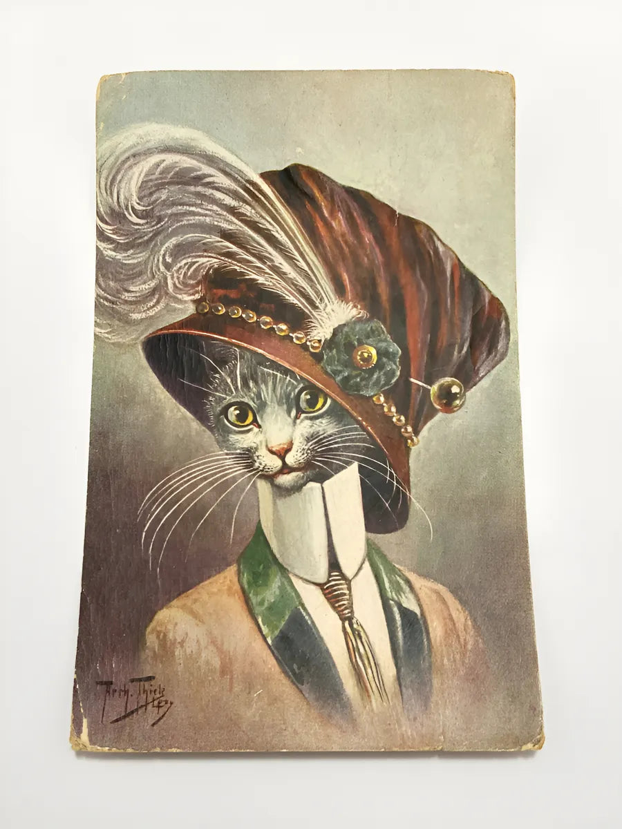 Cartão Postal Antigo Arthur Thiele Gato Elegante