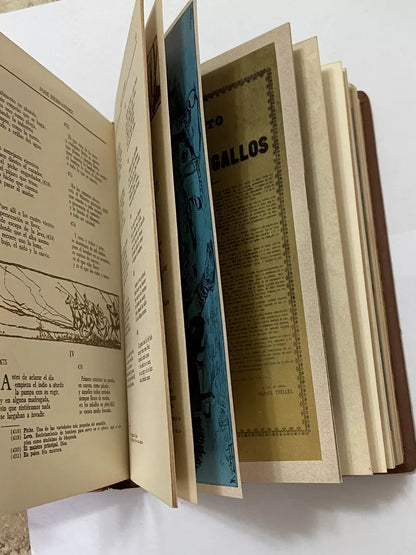 Livro Antigo El Gaucho Martin Fierro, José Hernandez Belíssima Edição