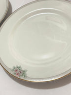 Pratos Porcelana Schmidt Classic 27cm (5pçs) Antigos Branco
