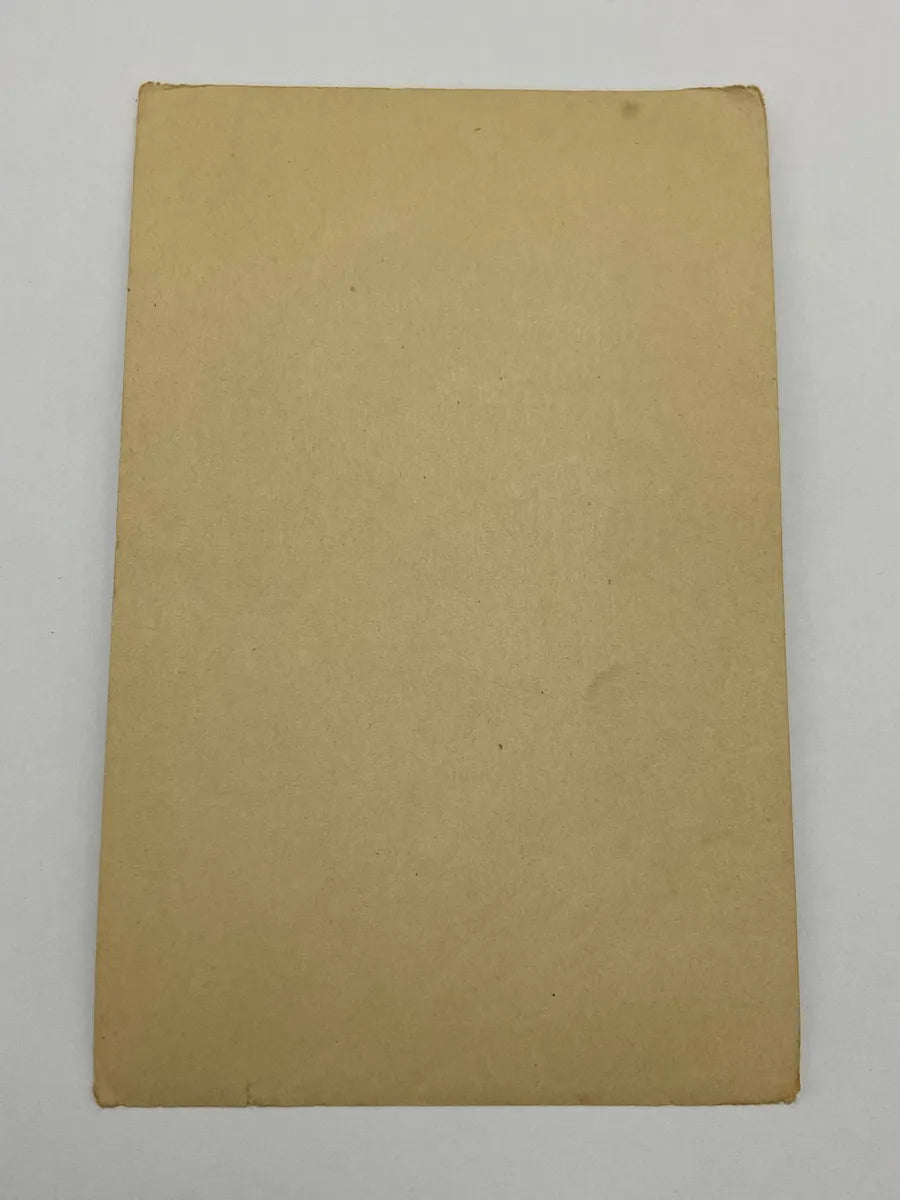 Cartão Postal Antigo Arthur Thiele Gato Elegante