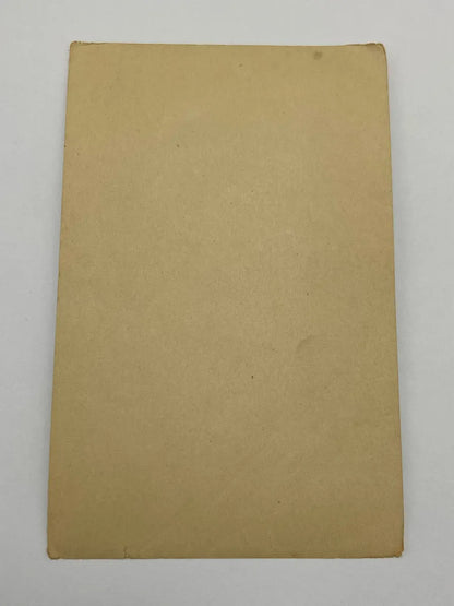 Cartão Postal Antigo Arthur Thiele Gato Elegante