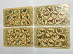 Cartelas Antigas Alemãs J.w.s. S Bavaria Animais E Insetos