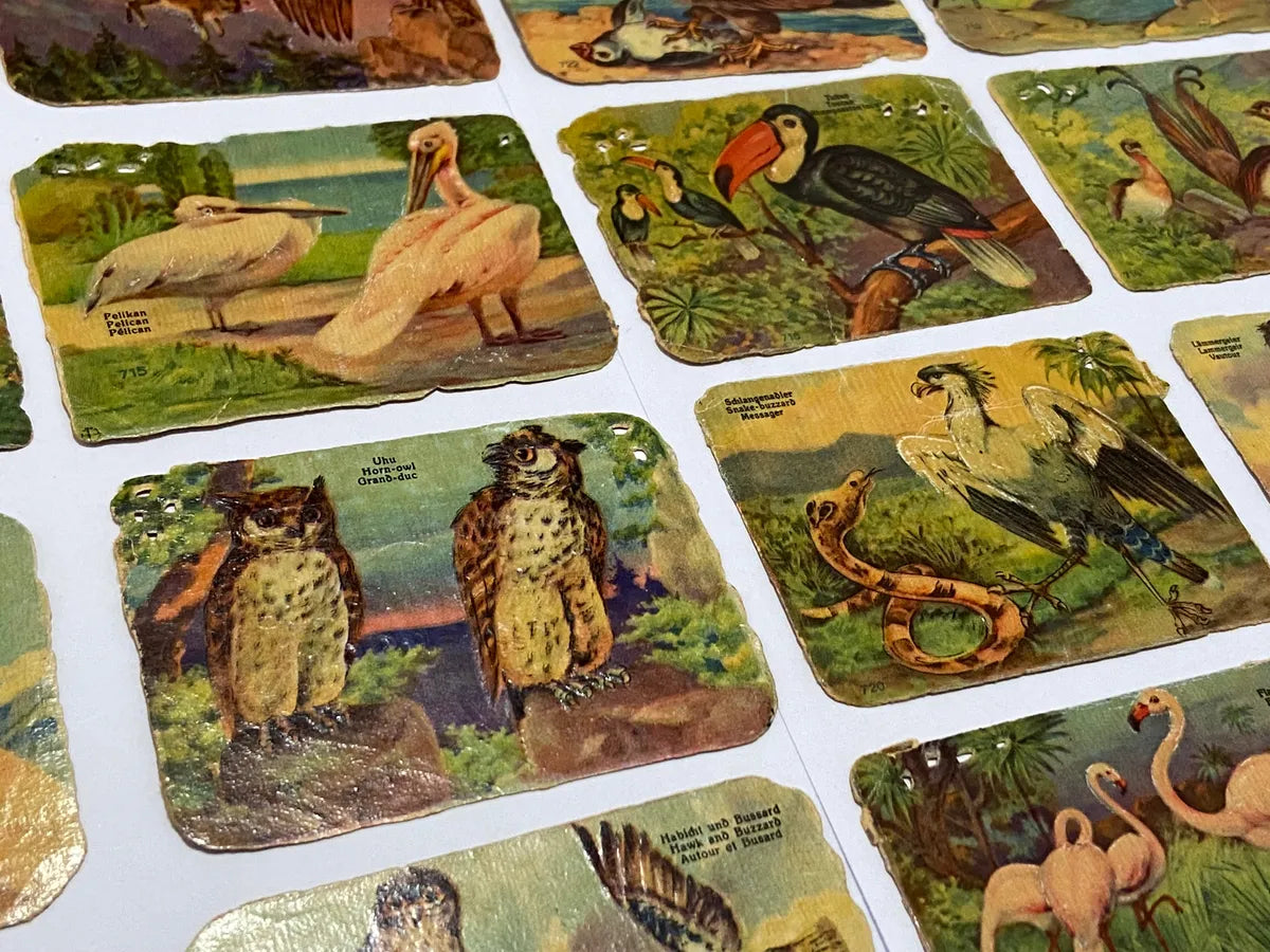 Cartas Antigas Alemanha Stadtsparkasse Deggendorf Pássaros