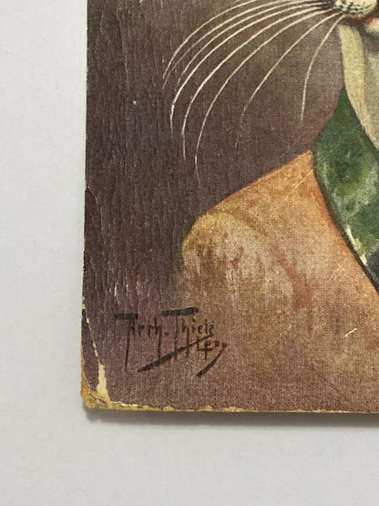 Cartão Postal Antigo Arthur Thiele Gato Elegante