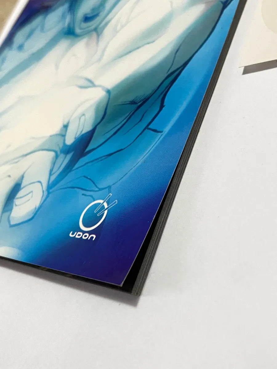 Manual Street Fighter Anniversary Edition Controle Play 2