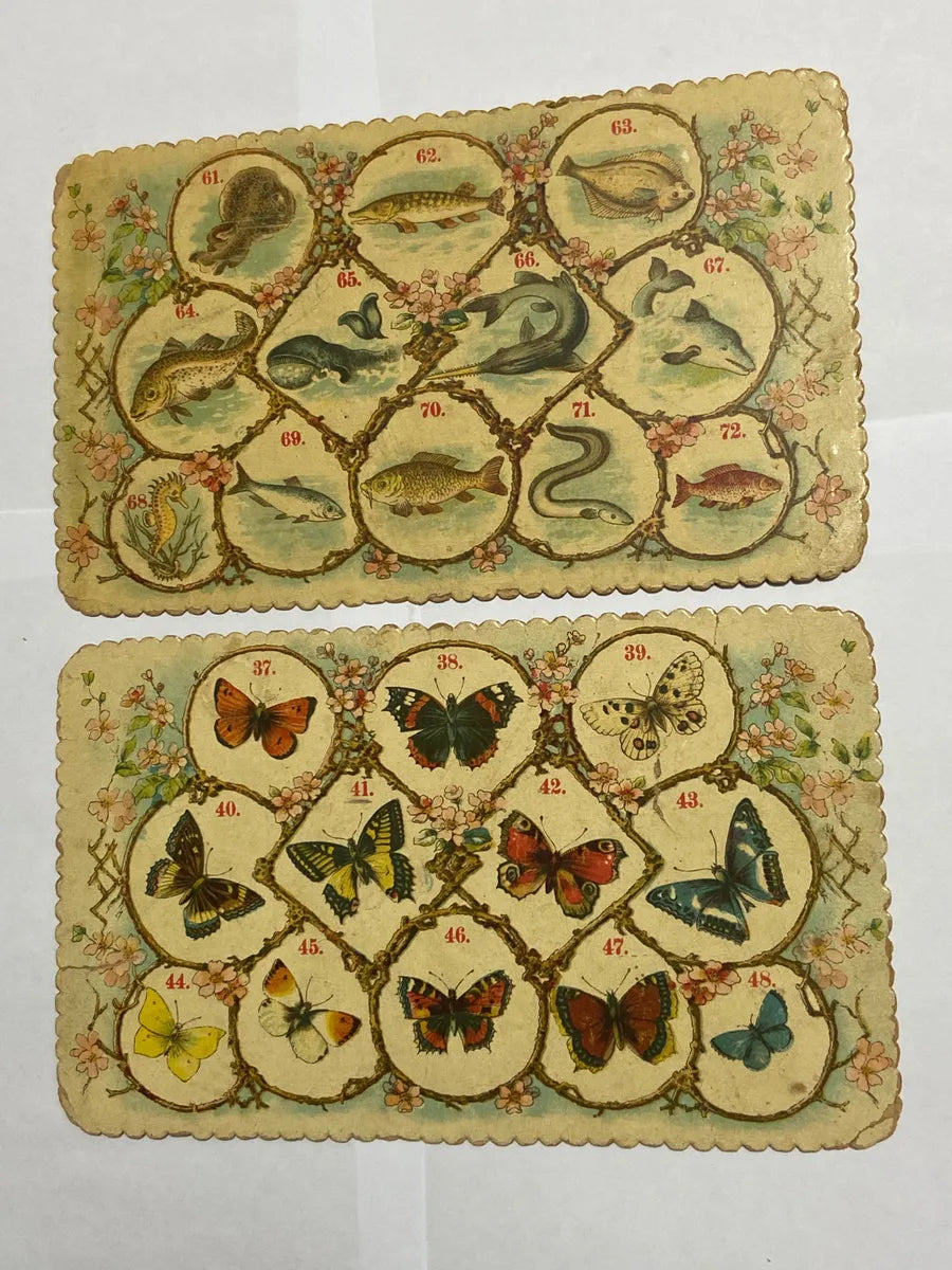 Cartelas Antigas Alemãs J.w.s. S Bavaria Animais E Insetos