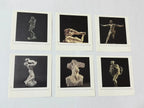 Calendário Antigo Rodin 1999 Arte Esculturas Teneues