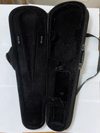 Violino Pearl River V182 4/4 Com Capa