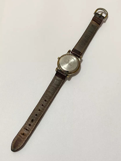 Relógio Antigo Suíço Mountaineer Voyager 50m Water Resist