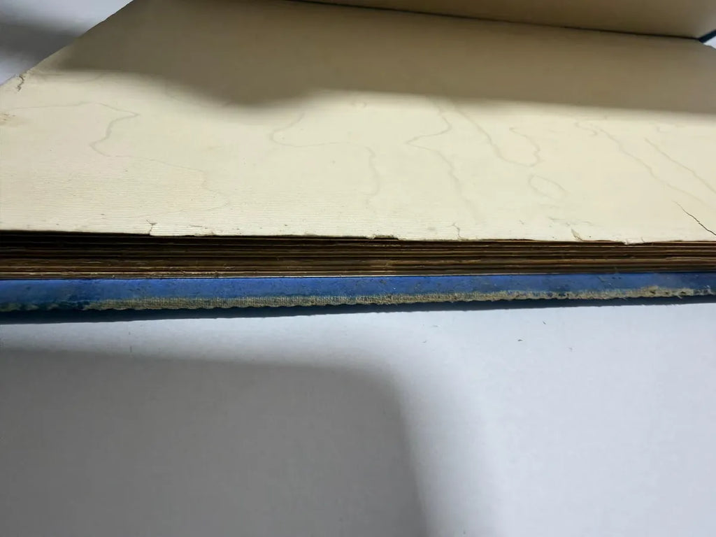 Livro Antigo Enoch Arden Tennyson Ilustrado 1876 Alemão