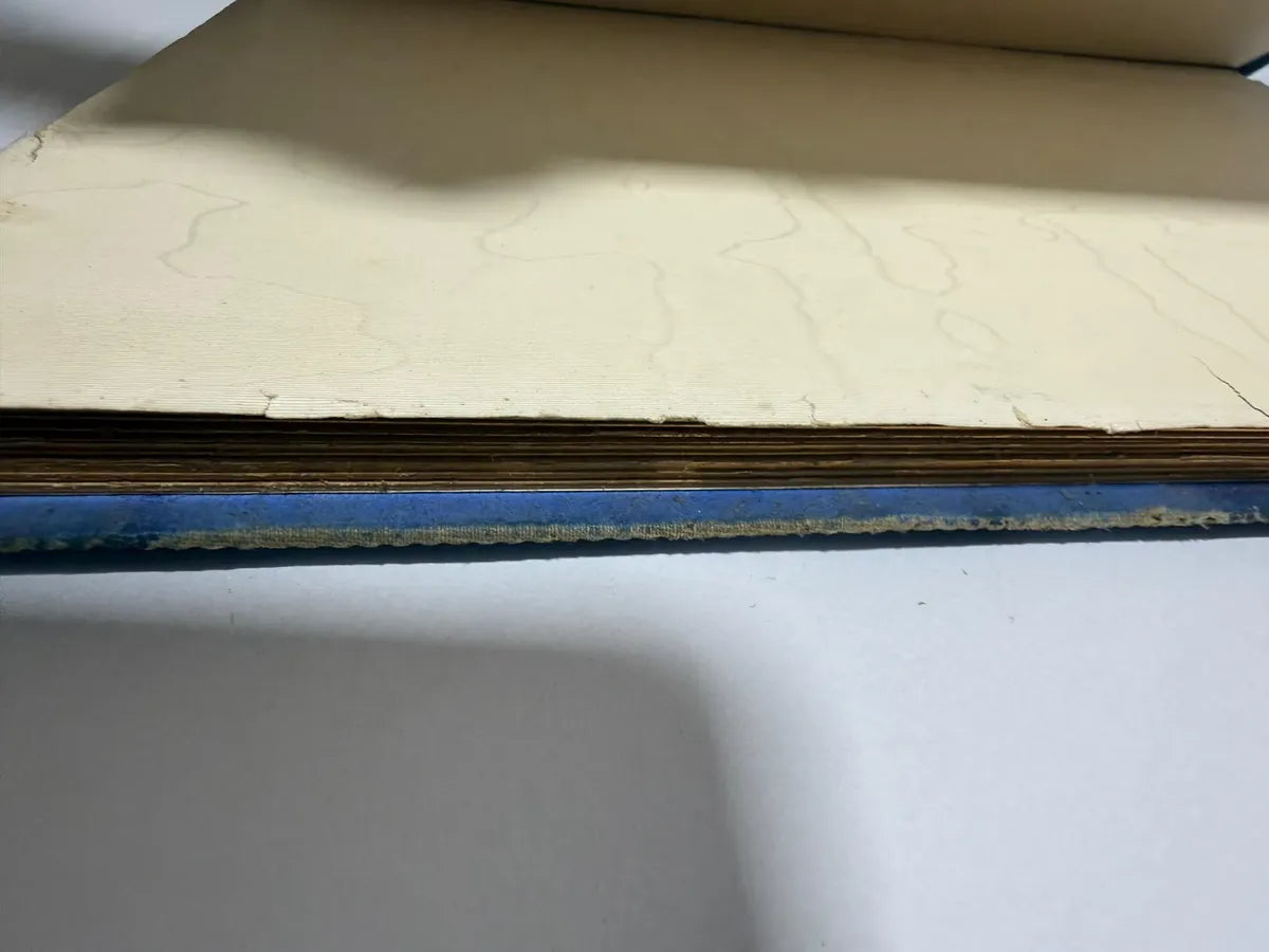 Livro Antigo Enoch Arden Tennyson Ilustrado 1876 Alemão