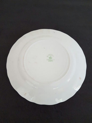 Prato Antigo De Porcelana Inglesa Com Pintura Flores Myott S