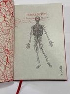 Livro Frankenstein Mary Shelley Editora Darkside Edição Luxo