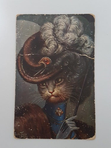 Cartão Postal Antigo Arthur Thiele Tsn No 896