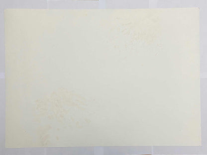 Quadro Gravura Antiga Cidade Prédios Assinada E Numerada